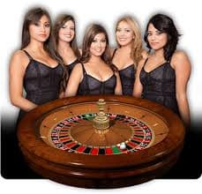 Tampilan Teen Patti 20-20 di y35